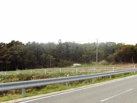 デジタルアーカイブ:20141005_M308_3.jpg