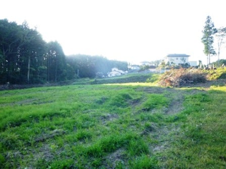 デジタルアーカイブ:20141020_M125.jpg
