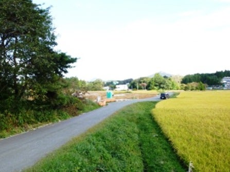 デジタルアーカイブ:20141020_M130.jpg