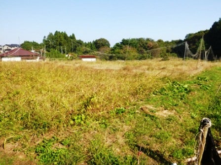 デジタルアーカイブ:20141020_M133.jpg