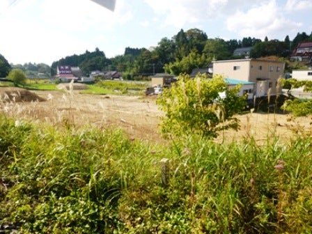 デジタルアーカイブ:20141020_M139.jpg