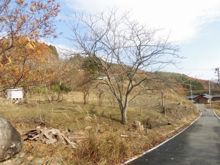 デジタルアーカイブ:20141123_M281_1.jpg