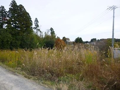 デジタルアーカイブ:20141127_M123.jpg