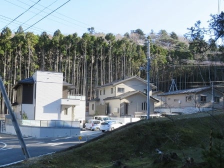デジタルアーカイブ:20141215_M228.jpg