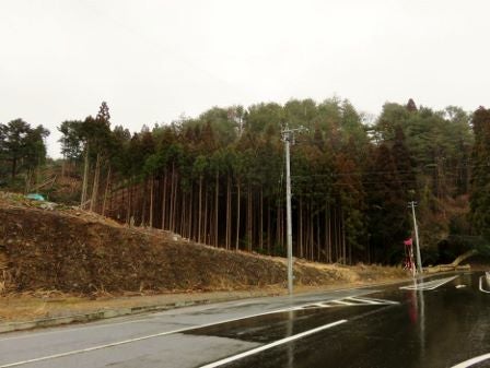 デジタルアーカイブ:20150130_M327.jpg
