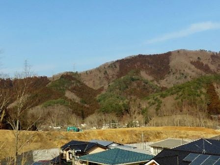 デジタルアーカイブ:20150225_M314.jpg