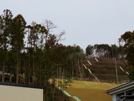 デジタルアーカイブ:20150226_M265.jpg