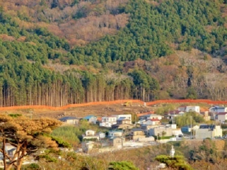 デジタルアーカイブ:229_20151113_M229_2.jpg