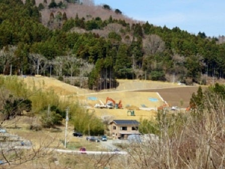 デジタルアーカイブ:259_20150328_M259.jpg
