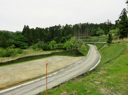 デジタルアーカイブ:287_20150528_M287.jpg