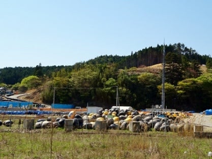 デジタルアーカイブ:305_20150430_M305.jpg