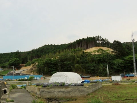 デジタルアーカイブ:305_20150623_M305.jpg
