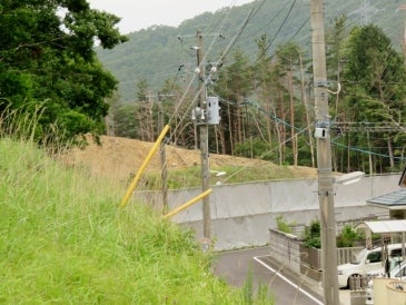 デジタルアーカイブ:314_20150619_M314.jpg