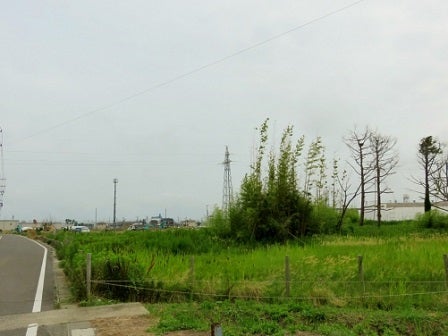 デジタルアーカイブ:347_20150706_M347.jpg
