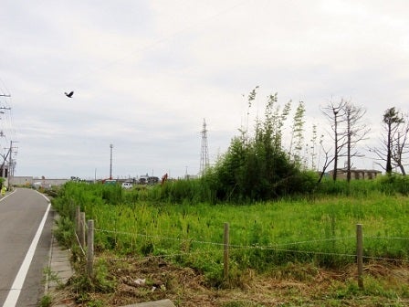 デジタルアーカイブ:347_20150826_M347.jpg