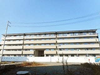 356_20161201_M356.jpg