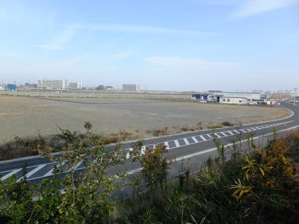 410_20201119_M410_3.jpg