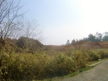 デジタルアーカイブ:87_20150422_M087.jpg