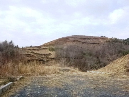 20140324_M072.jpg