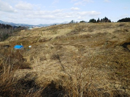 20140324_M073.jpg