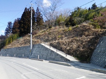 20140324_M075.jpg
