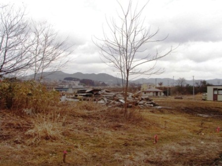 20140324_M078.jpg