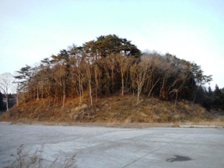 20140324_M081.jpg