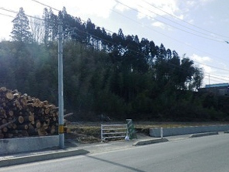 20140324_M088.jpg