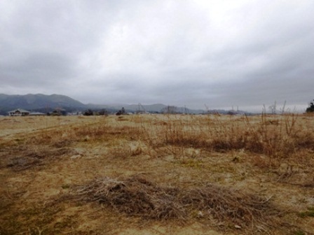 20140324_M089.jpg