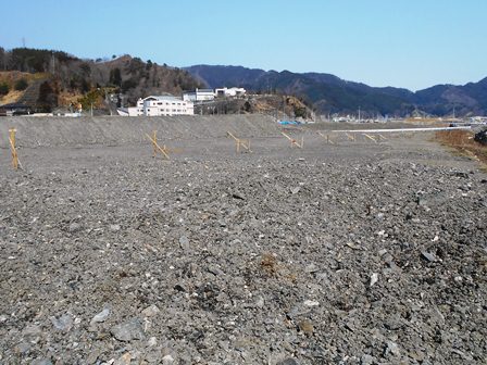20140328_I042.jpg