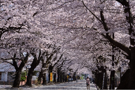 20160409_ph1_fukushima.JPG