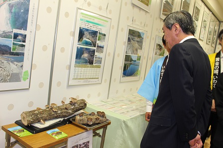 20150522_ph4.JPG