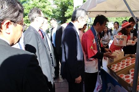 20150721_p2_k.JPG