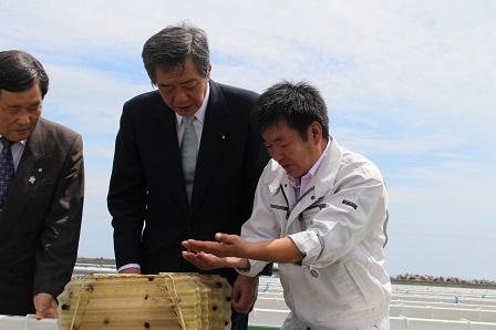 20150726_ph1.JPG