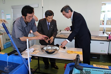 20150726_ph5.JPG