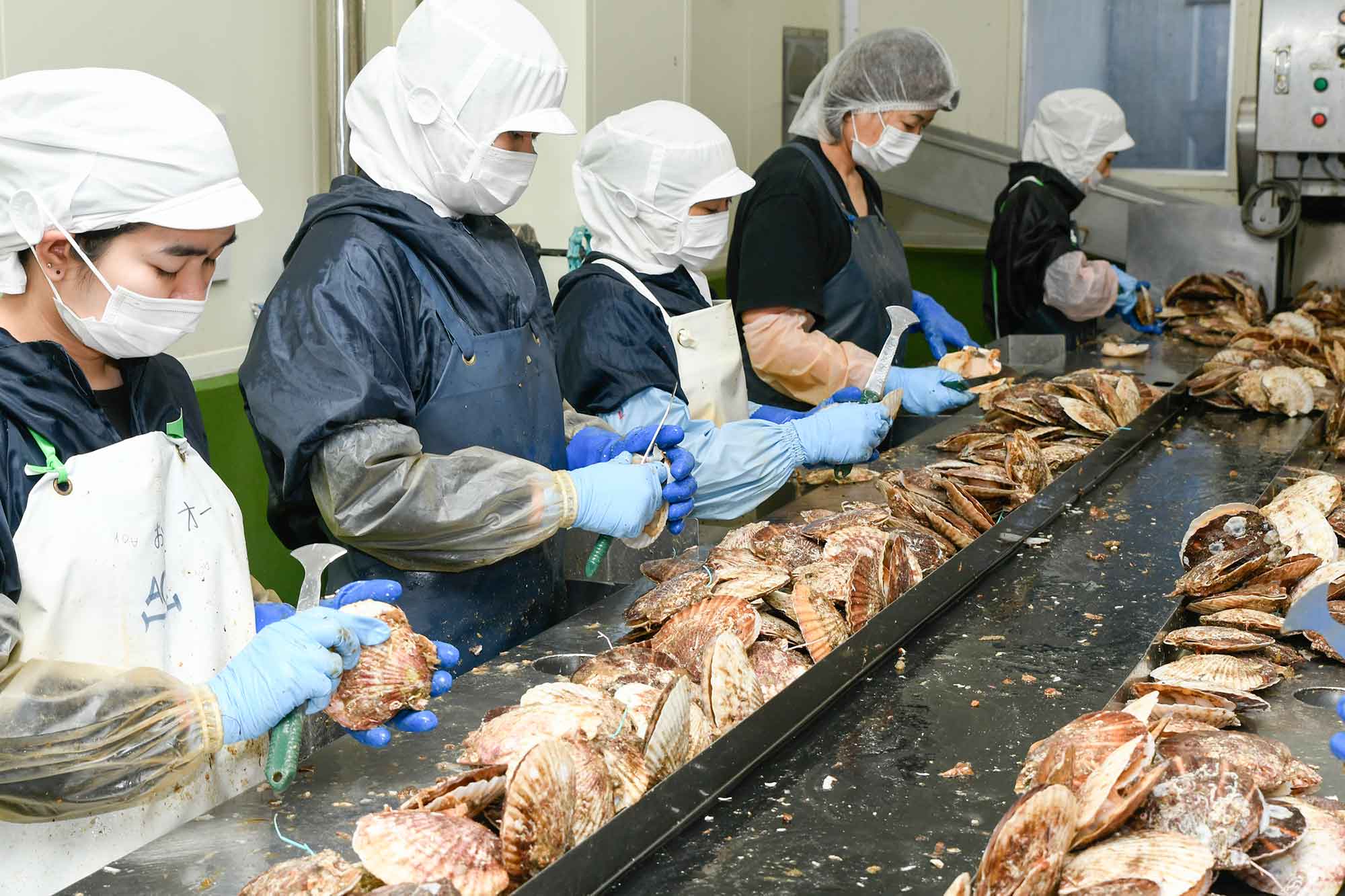 被災時に5人となった従業員は、2023年には44人まで増加