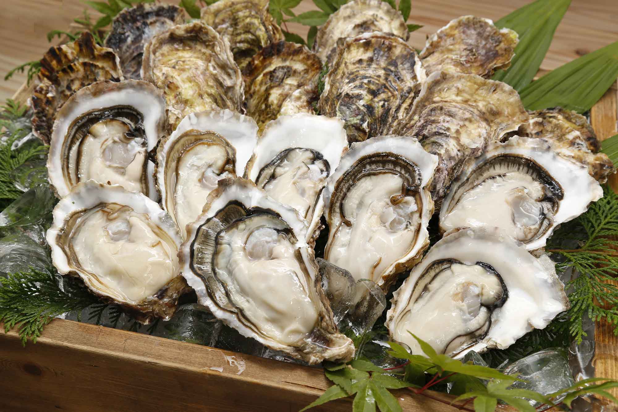 MIYAGI OYSTER(宮城オイスター)
