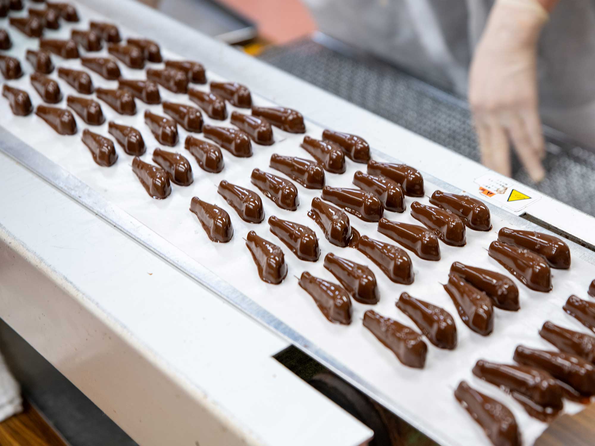 会社全体を新たにブランディングし、協業を強化した決断が再浮上のきっかけに