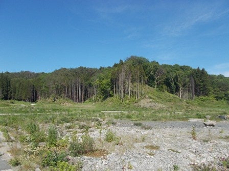 20130610_I014.jpg