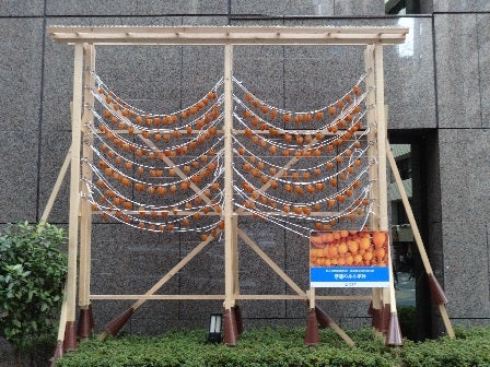 20170119_ph1_fukushima.jpg