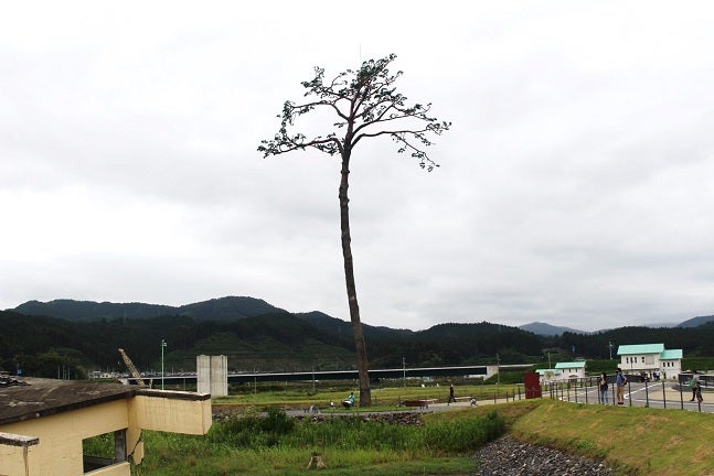 220805_ph2_iwate.jpg