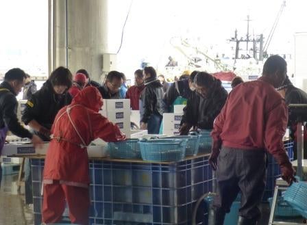 20131218_ph3_fukushima.jpg