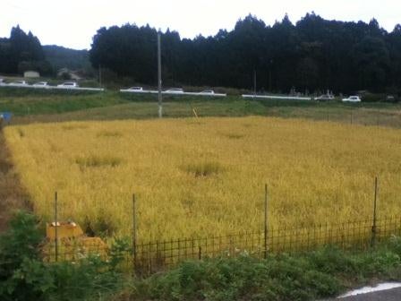 20131015_ph3_fukushima.jpg