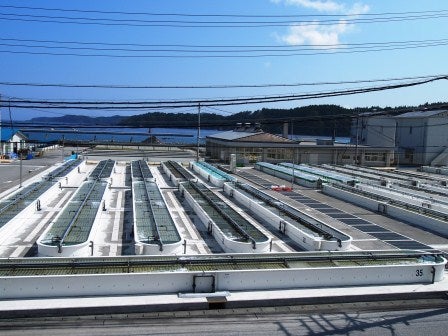 20140626_ph1_iwate.jpg