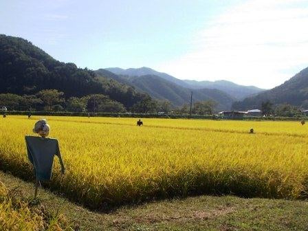 20130929_ph2_iwate.jpg