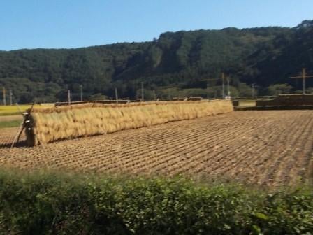 20130929_ph3_iwate.jpg
