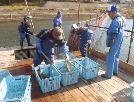 20131108_ph1_miyagi.jpg