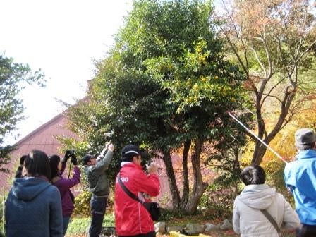 20131130_ph1_iwate.jpg