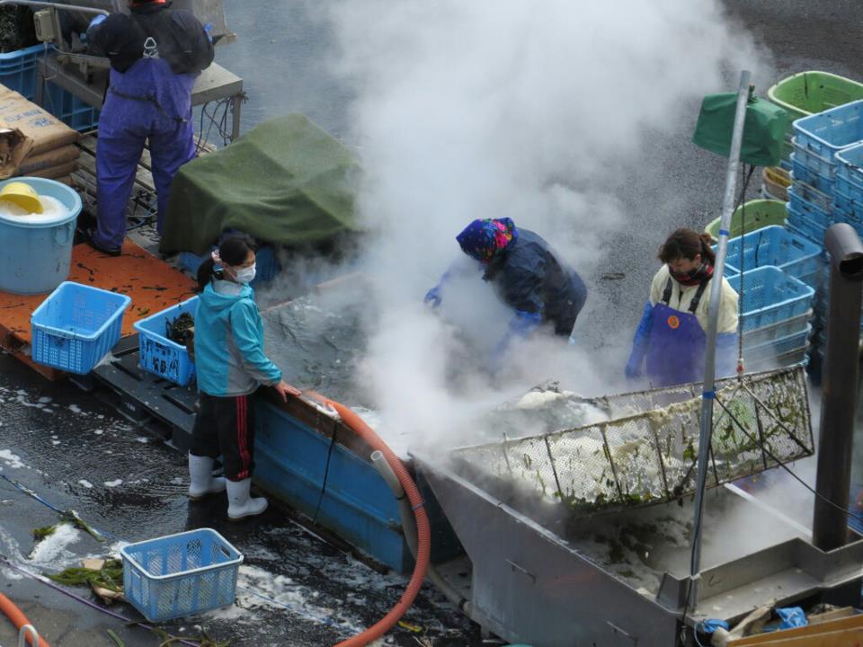 20130514_fukkoudayori_miyagi3.jpg