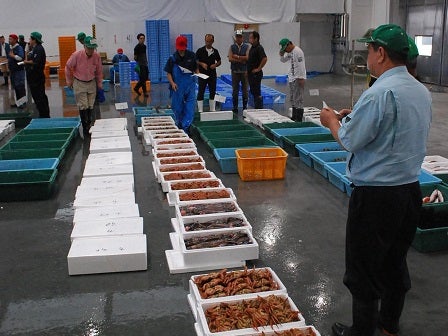 20140804_02_ishinomaki.jpg